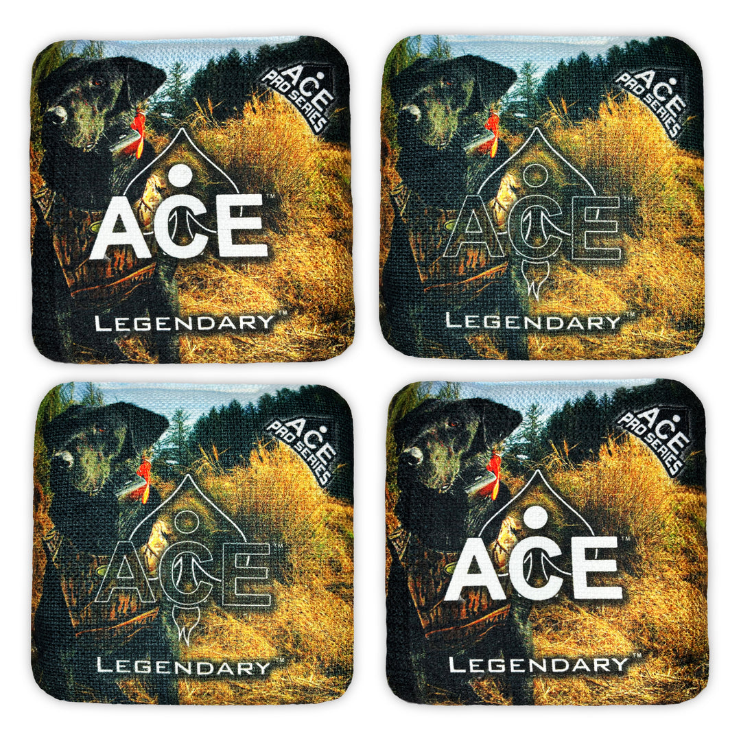 Legendary - Hunting Dog - ACE Pro Bag Kit: 4 Pro Bags + Break-In Kit + Carry Case